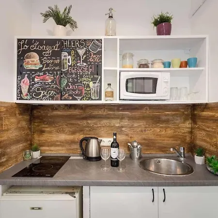 公寓 Vintage Downtown Escape 2 Baths 2 Beds 布达佩斯